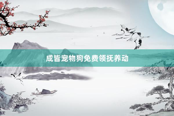 成皆宠物狗免费领抚养动