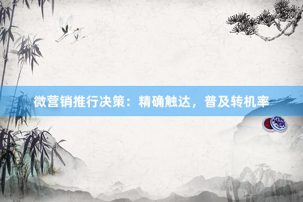 微营销推行决策：精确触达，普及转机率